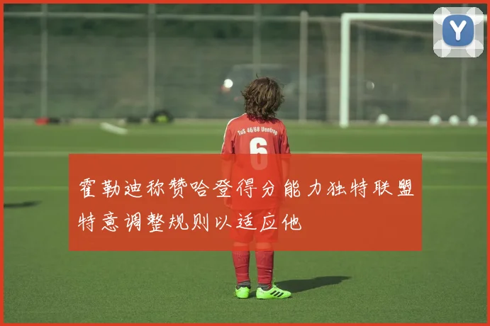 霍勒迪称赞哈登得分能力独特联盟特意调整规则以适应他