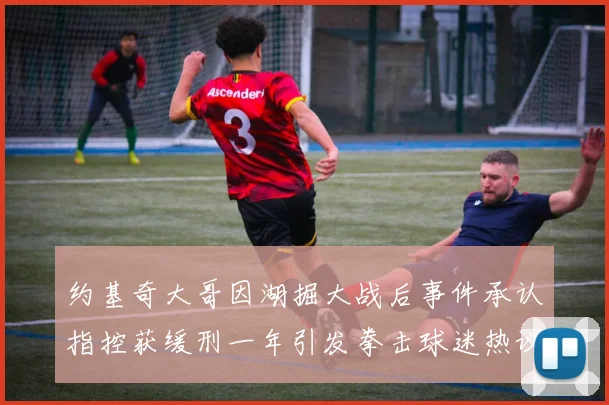 约基奇大哥因湖掘大战后事件承认指控获缓刑一年引发拳击球迷热议